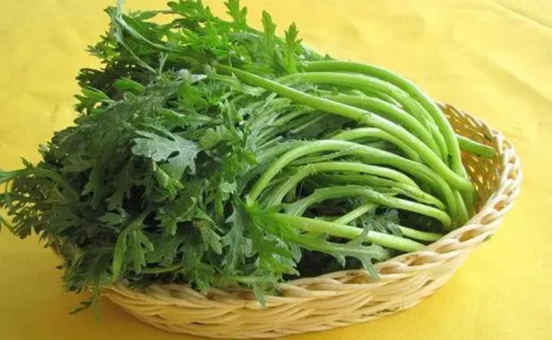 清明吃一草，百岁不显老 1草”是啥?采摘短，清明正当吃