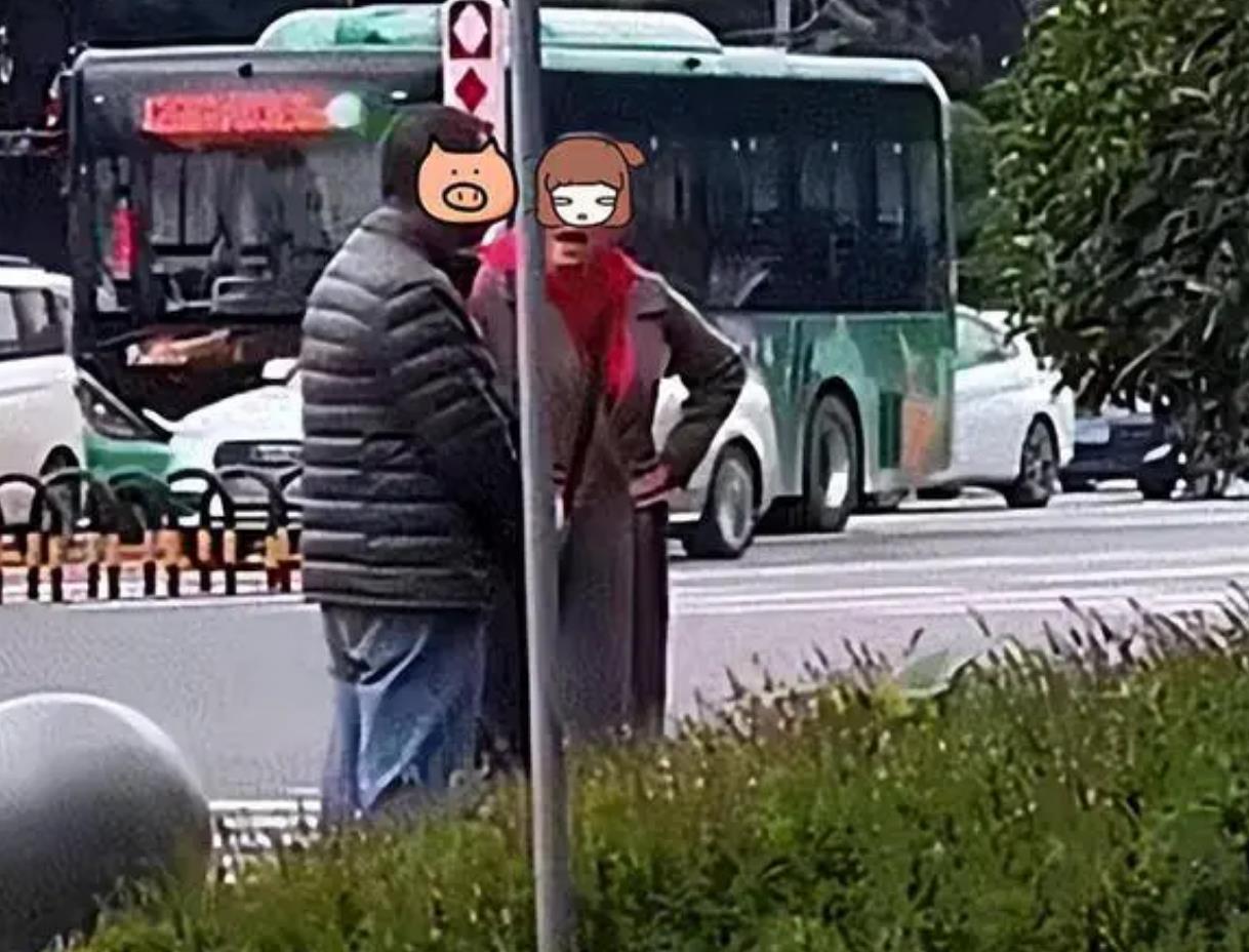 20240924165231.jpg