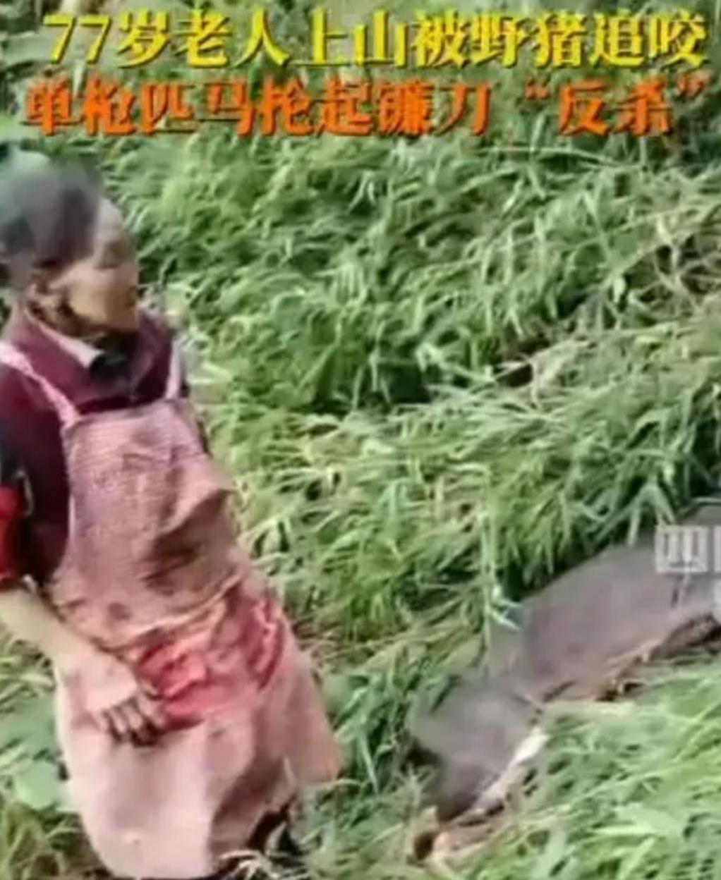 20240928173447.jpg